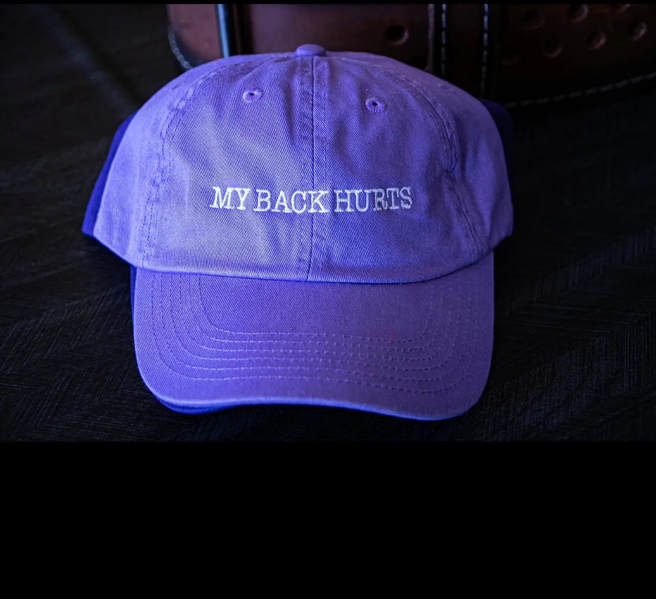 (                                                                                                                                                                                       My Back Hurts (Depth Dad Hats)