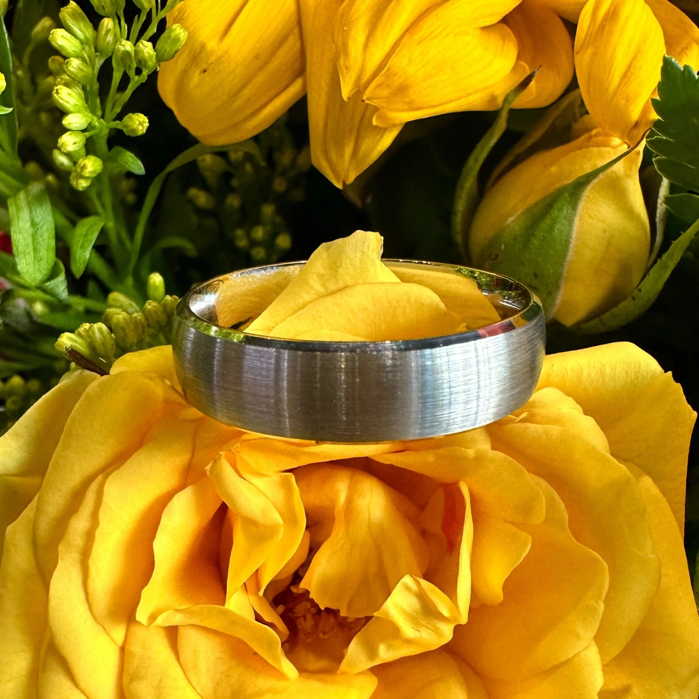 Malo 14K White Gold Satin Band Ring M3-249-5W-0