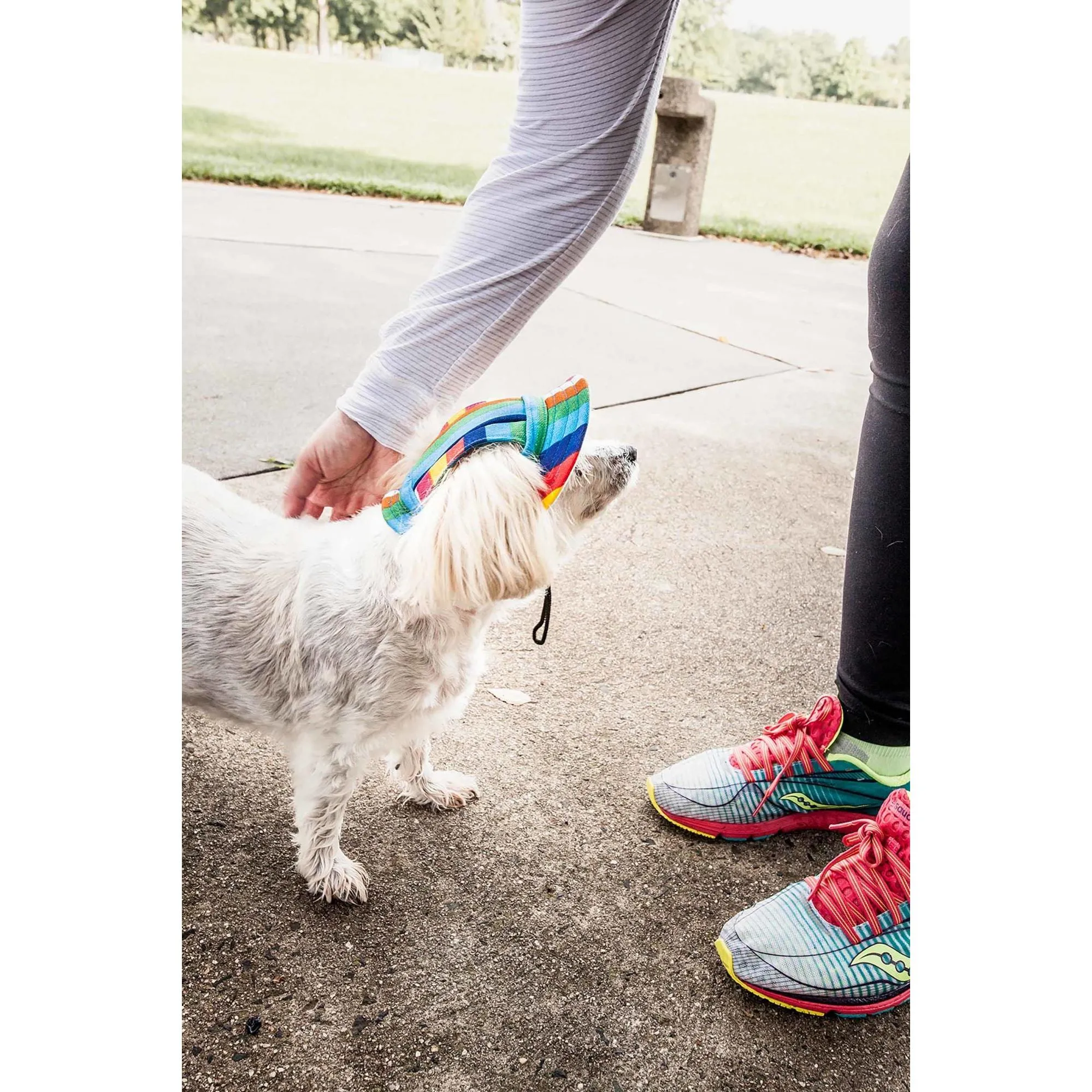 Rainbow Brim Dog Hat Extras