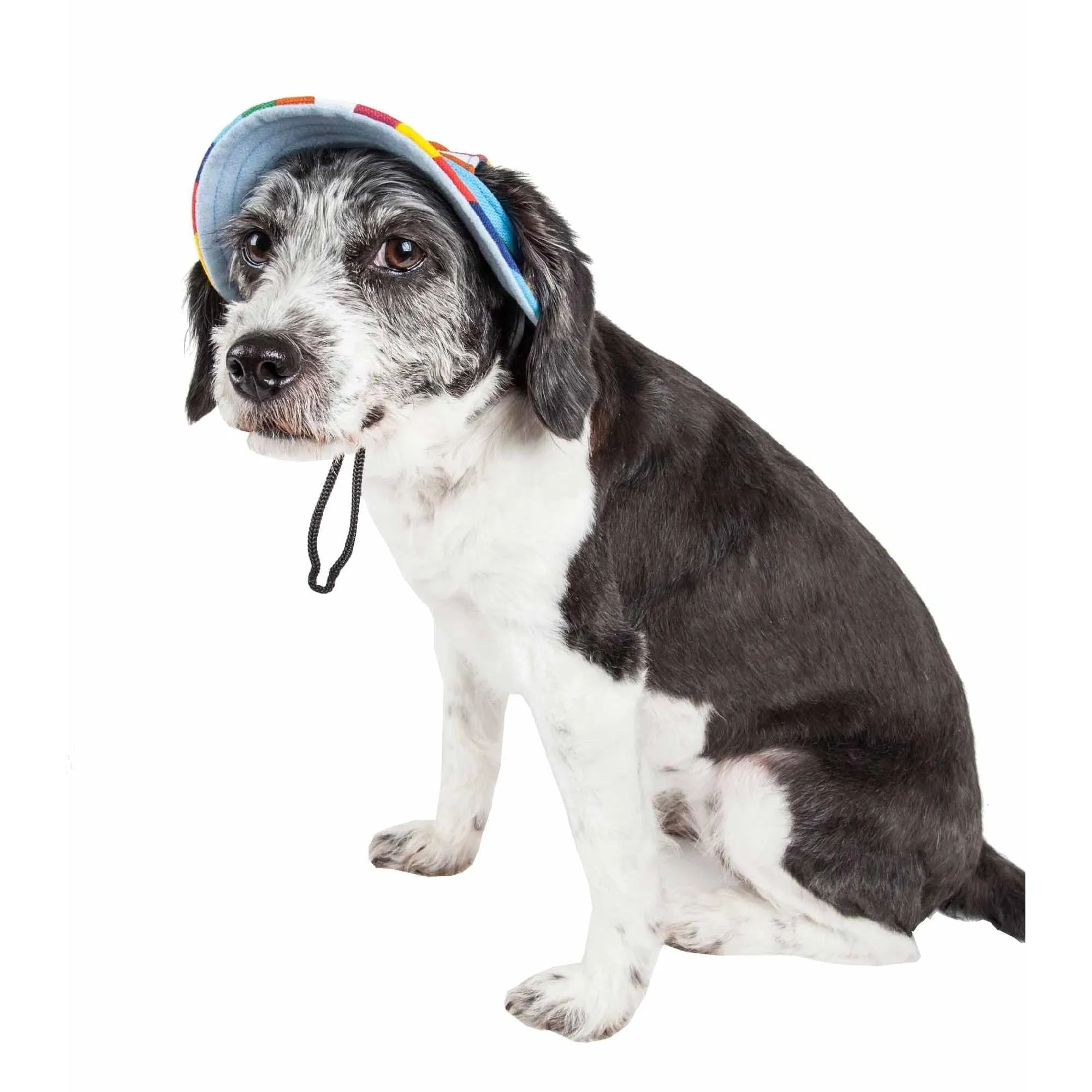Rainbow Brim Dog Hat Extras
