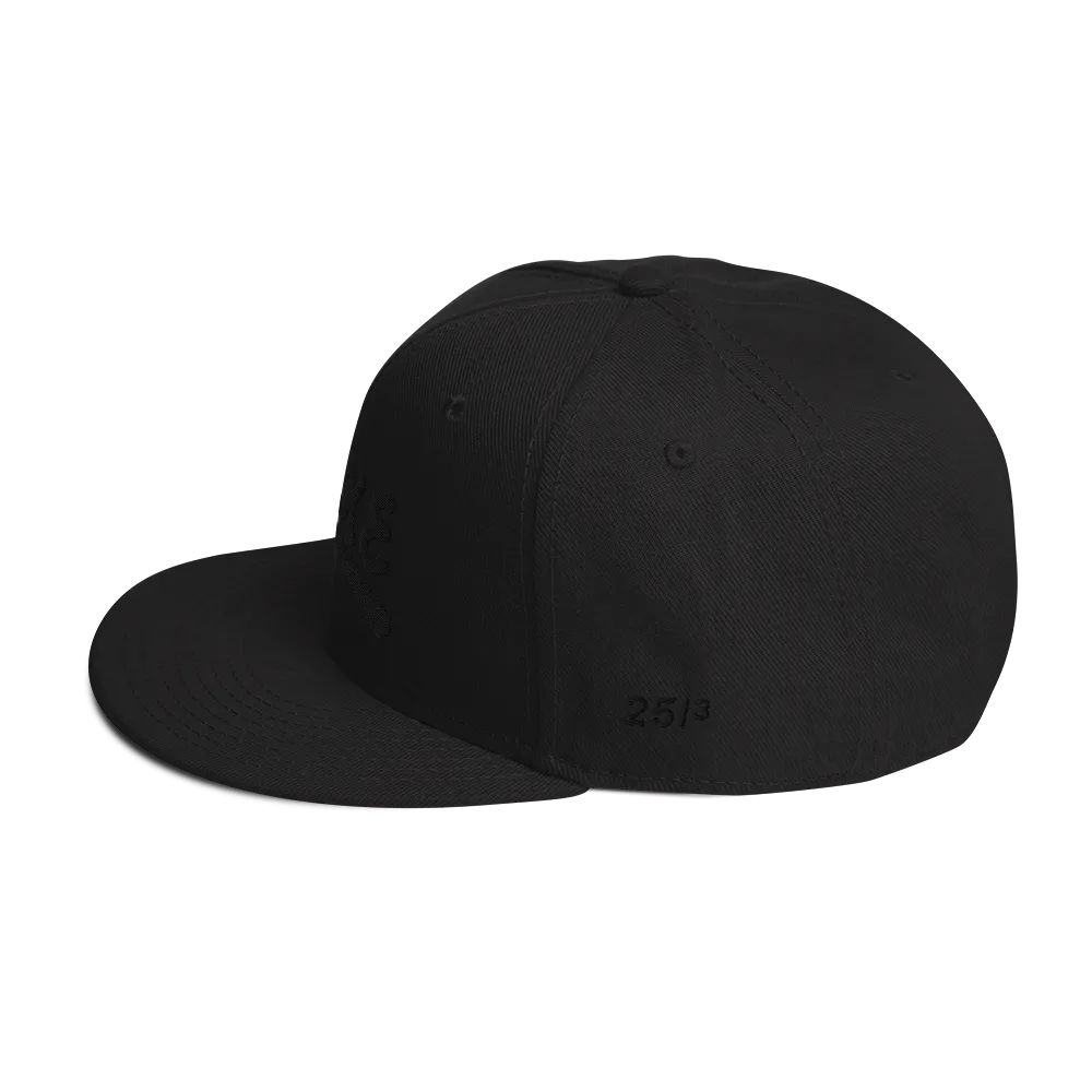Yoke & Co. 3D Snapback Hat